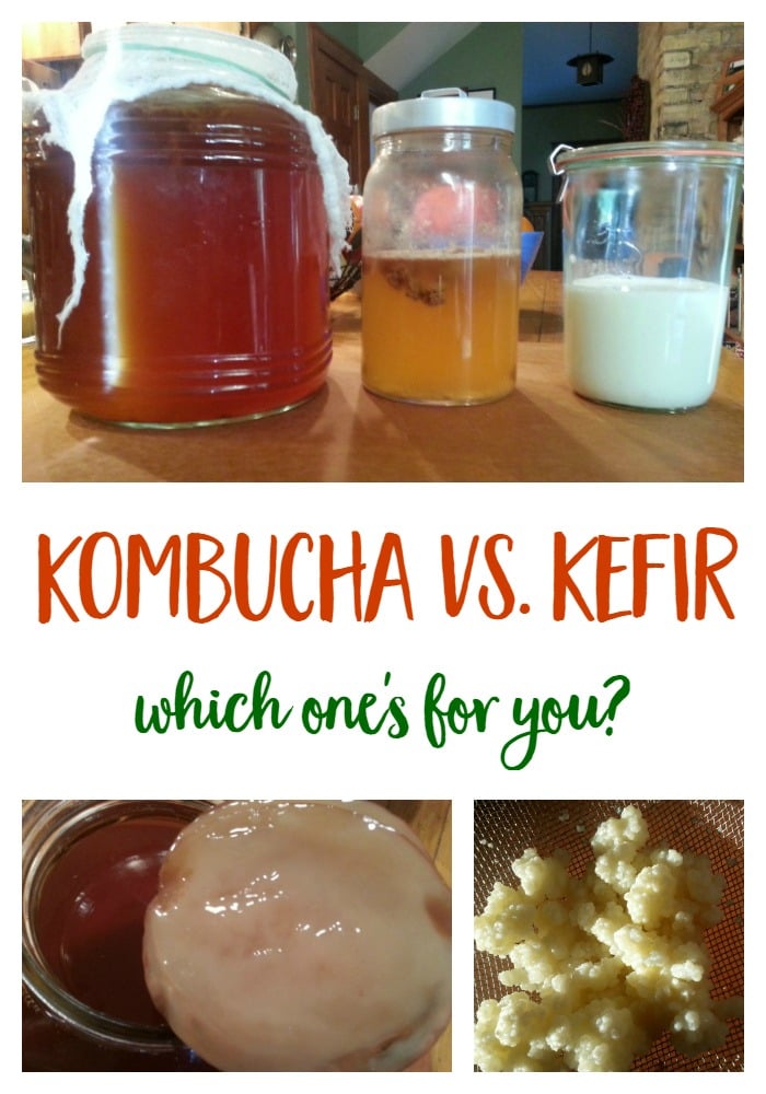 Kombucha vs Kefir - How do you make them and which of these fermented beverages is best for you? | fermentation | DIY | probiotics | healthy drink | Mindful Momma