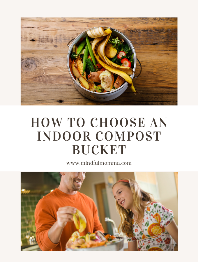 MM Compost container B